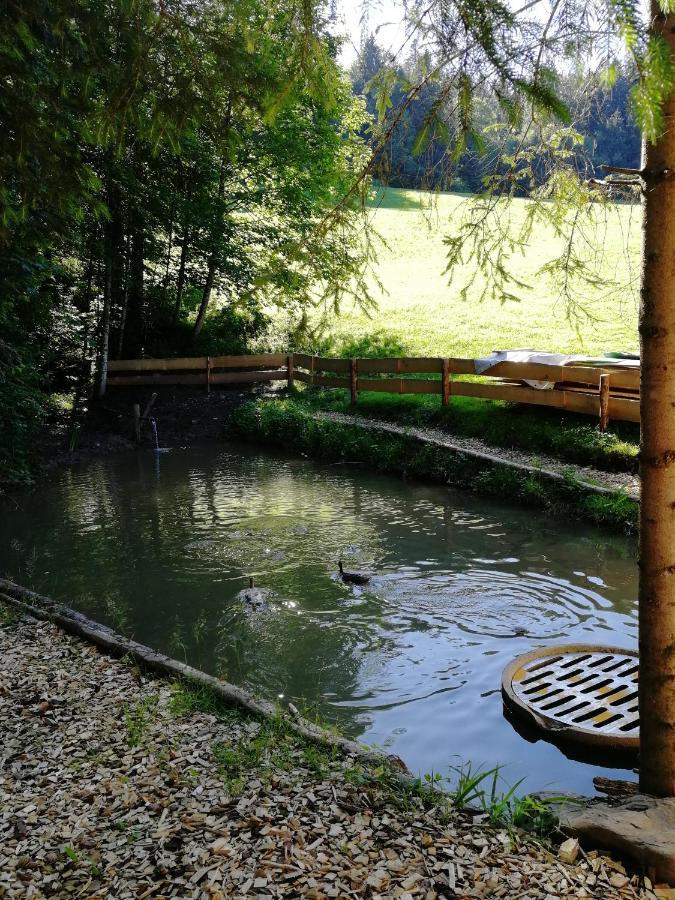 Ferienhaus Am Waldrand Von Egg Bregenzer Wald エクステリア 写真