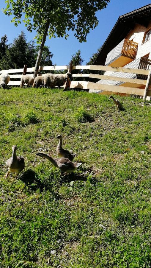 Ferienhaus Am Waldrand Von Egg Bregenzer Wald エクステリア 写真
