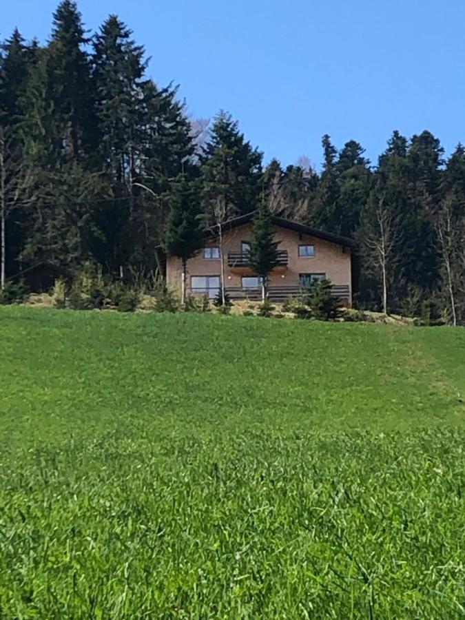 Ferienhaus Am Waldrand Von Egg Bregenzer Wald エクステリア 写真