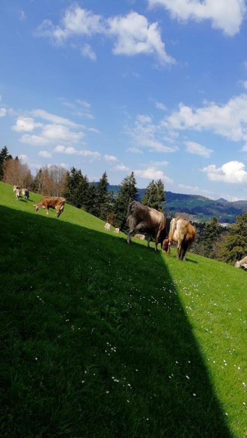 Ferienhaus Am Waldrand Von Egg Bregenzer Wald エクステリア 写真